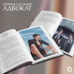 Первоклассный адвокат. Том 2