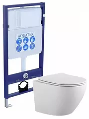 Aquatek Европа SET AQUATEK ЕВРОПА Инсталляция с унитазом, цвет: белый фото