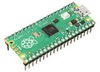 Raspberry Pi Pico (с ногами)