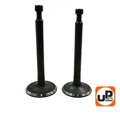 Клапаны впускной и выпускной UNITED PARTS 168/170F, GX160/200 (90-0673)