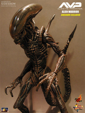 Фигурка Чужой Воин из фильма Чужой против Хищника Hot Toys 1/6