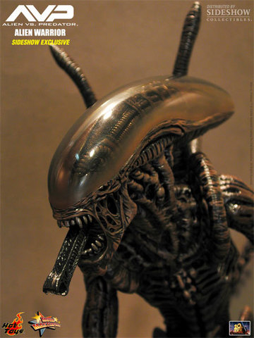 Фигурка Чужой Воин из фильма Чужой против Хищника Hot Toys 1/6