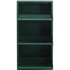 Обувница Caruso 3 Green (MO)