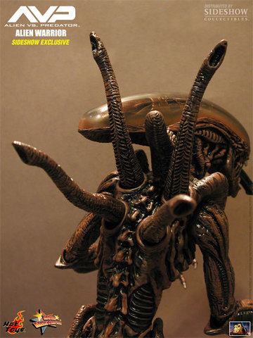Фигурка Чужой Воин из фильма Чужой против Хищника Hot Toys 1/6