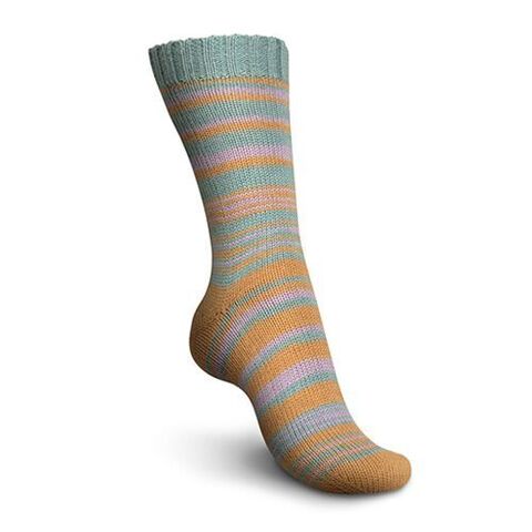 Regia Stripeway Color 2301