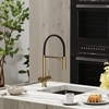 Sancos Imola SC4010BGBH Смеситель для кухни с гибким изливом и краном для фильтра, цвет: брашированное золото,черный