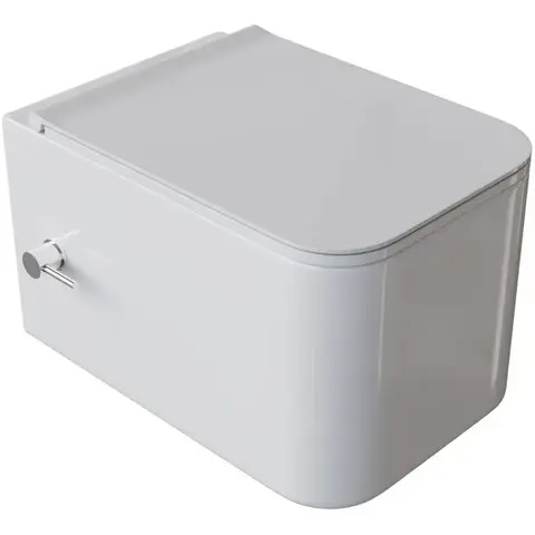 Boheme Mane 970-SET-2-W Унитаз-биде подвесной, цвет: белый