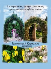 Лианы