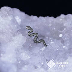 Snake