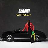 SHAGGY: Wah Gwaan?! (Компакт-диск)