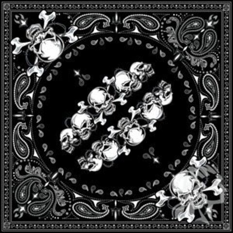 Бандана ZANHeadgear Хлопок, Multi Skull Collage Z592