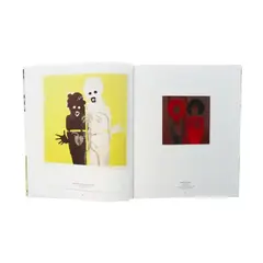 Art Sleeves: Album Covers by Artists (На английском языке)