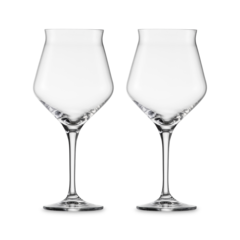 Набор из 2 бокалов для пива Craft Beer Experts 435 мл EISCH арт. 180110
