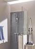 GROHE Euphoria 27221000 Душ ручной