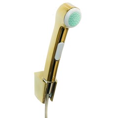 Hansgrohe 32128990 Комплект гигиенического душа с держателем и шлангом 160 см (золото полированное) фото