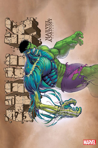Hulk Vol 5 #11 (Cover B)