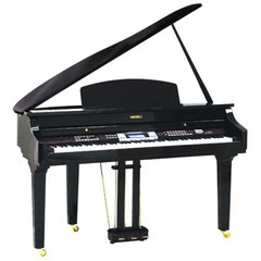 Medeli Grand 1000