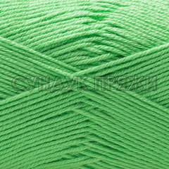 Baby Cotton 529