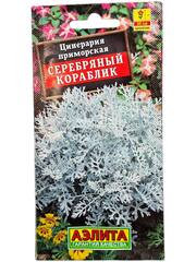 Цинерария Серебряный кораблик (Аэлита)