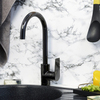 WasserKRAFT Glan 6607 Смеситель для кухни, цвет: чёрный
