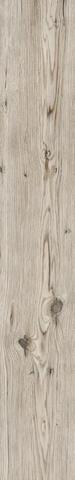 Rondine Living Tortora 15x100