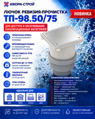 Лючок ревизия-прочистка ТП-98.75/50 Dn50мм/75мм
