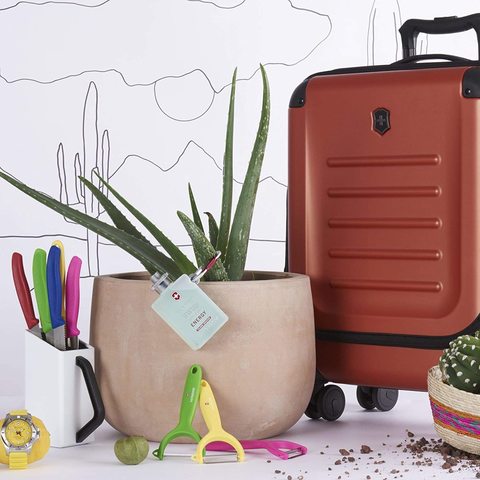 Нож для чистки томатов и киви Victorinox Swiss Classic, Red (7.6079.1)