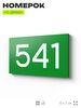 Номер на дверь 541, табличка на дверь для офиса, квартиры, кабинета, аудитории, склада, зеленая 120х70 мм, Айдентика Технолоджи