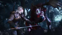 Игра The Witcher 3: Wild Hunt (Switch)