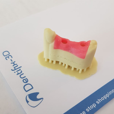 Фотополимер FunToDo Dentifix-3D Gingiva Mask гибкий, розовый (1 кг)