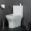 BelBagno Lounge BB8618CPR-MN/SC Унитаз моноблок с сиденьем Микролифт, цвет: белый