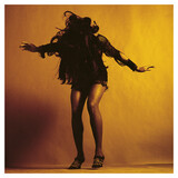 LAST SHADOW PUPPETS, THE: Everything Youve Come To Expect (Компакт-диск)