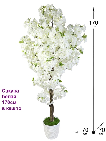 Сакура 170см белая в кашпо