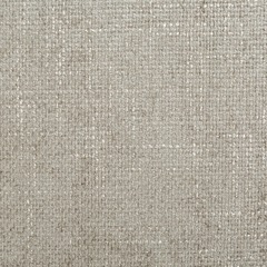 Шенилл Vikont (Виконт) 04