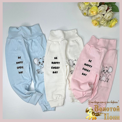 Штанишки хл/начес (68-86) 260831-R9077