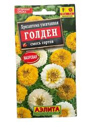 Хризантема Голден (Аэлита)