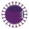 LilyPad XBee