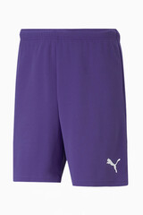 Шорты Puma teamRISE