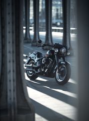 Harley-Davidson. Легенда жива