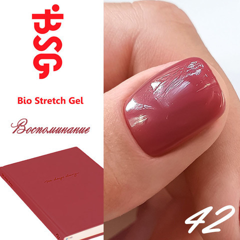 BSG №42  Воспоминание купить за 450&nbsp;руб