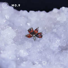Mallow Red-