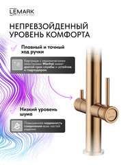 Смеситель Lemark Зенит Zenith LMF-1676S-BRRGN для кухни с гибким изливом, с подключением к фильтру питьевой воды
