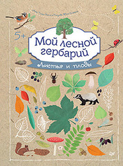 Мой лесной гербарий
