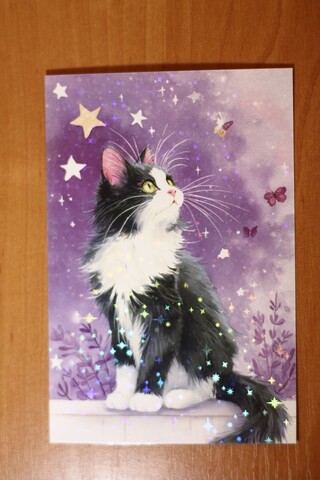 Котик и бабочки