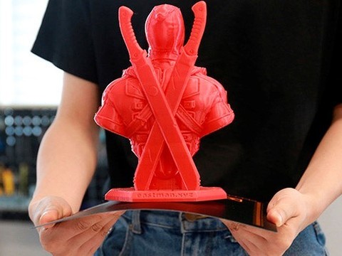 3D-принтер Wanhao D12 230