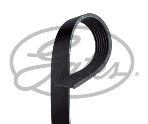 Ремень ручейковый GATES   7 PK  1905
