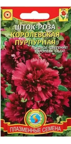 Семена Шток-Роза Королевская пурпурная