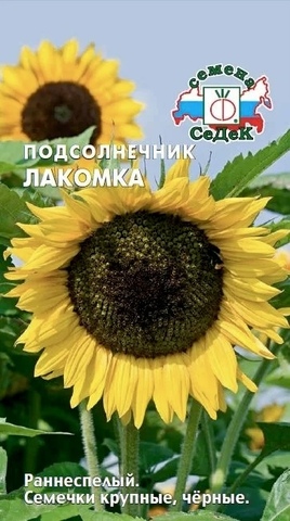 Семена Подсолнечник Лакомка, 5 гр