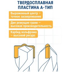 Бур SDS-plus ПРАКТИКА 20 х 950/1000 мм серия Профи по бетону (031-907)