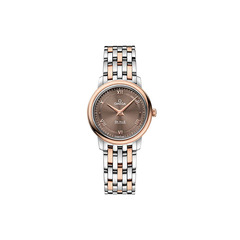 Omega 42420276013001